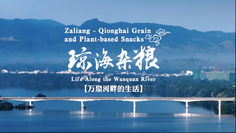 /en/public/video/QionghaiSnacks.mp4