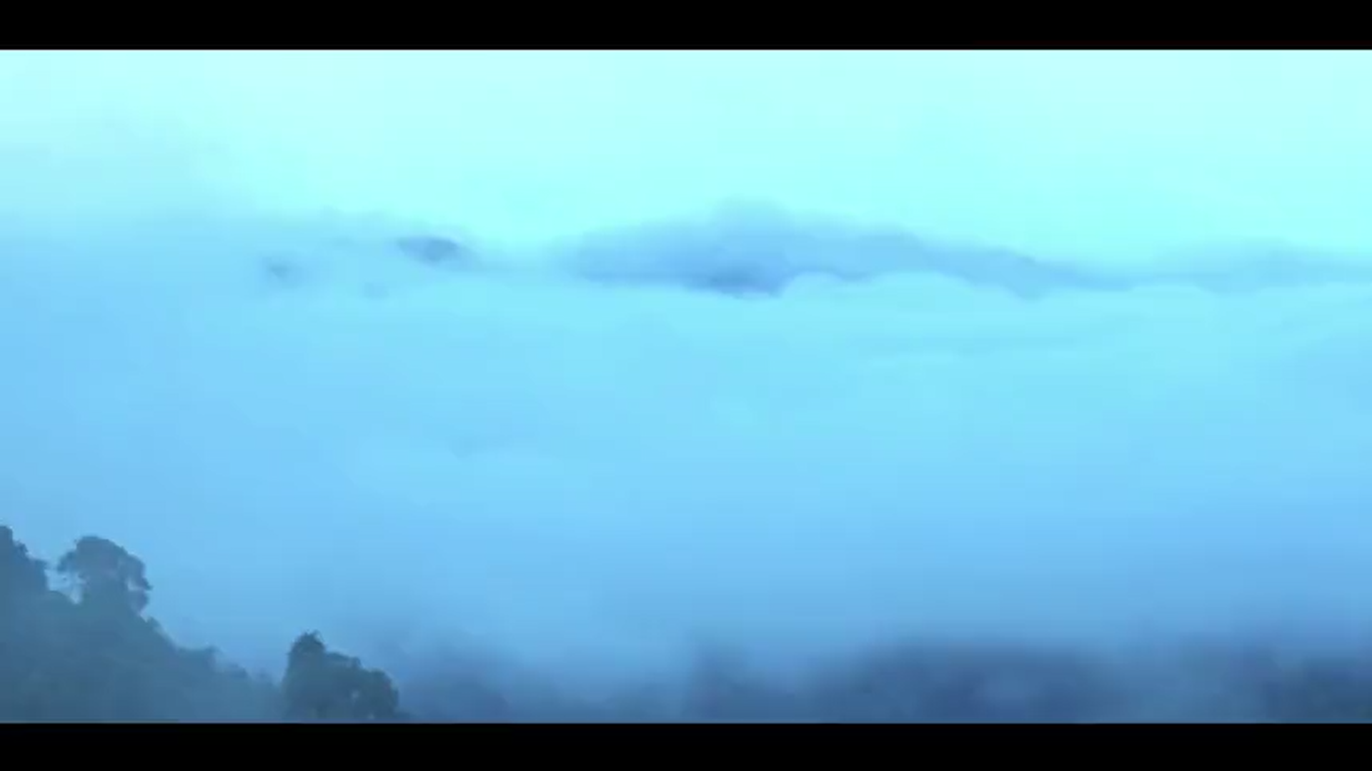 /en/public/video/1220/baoting.mp4