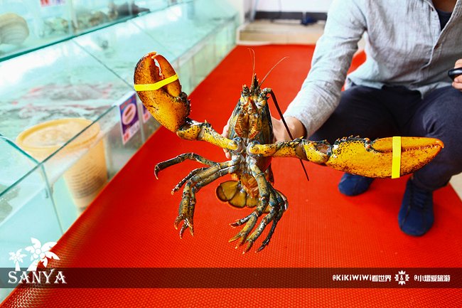 天下客海鲜店图片 天下客海鲜店图片