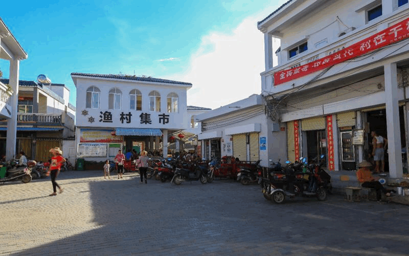 动图03.gif