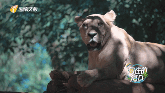 1633240813964051721.gif IMG_6158.gif