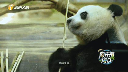 1633240972408059727.gif IMG_6160.gif