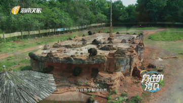 1633241129749030500.gif IMG_6162.gif