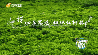 1633241306686043030.gif IMG_6163.gif