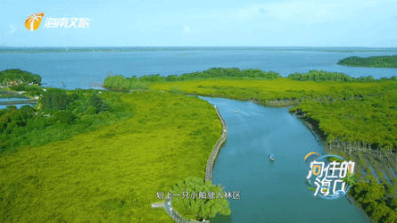 1633241383242048747.gif IMG_6164.gif