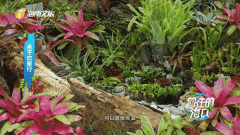 1633242018811048154.gif IMG_6167.gif