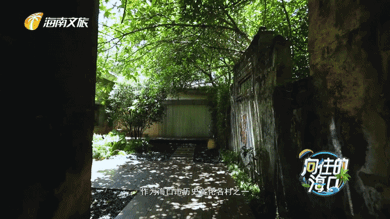 1633242660856029976.gif IMG_6174.gif