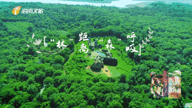 1633243870293024708.gif IMG_6186.gif
