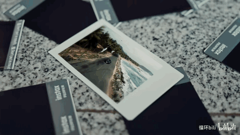 IMG_6191.gif